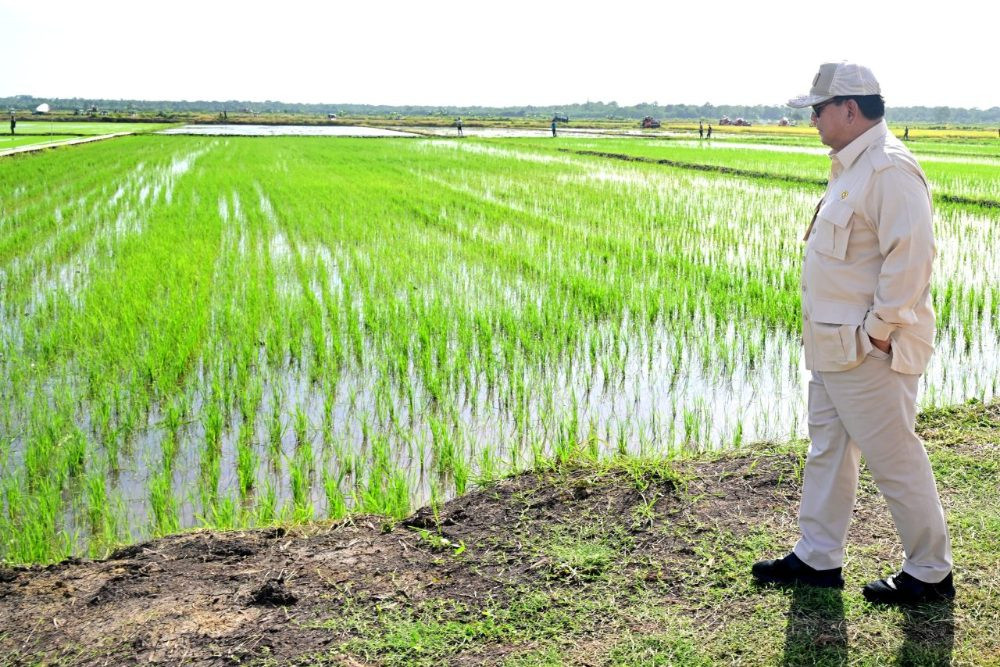 BRIN: Teknologi Nuklir Tekan Potensi Kehilangan Pangan 50 Juta Ton, Setara Rp500 T